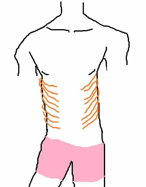 腹肌進階動作之側面殺手：側式捲腹完全圖解