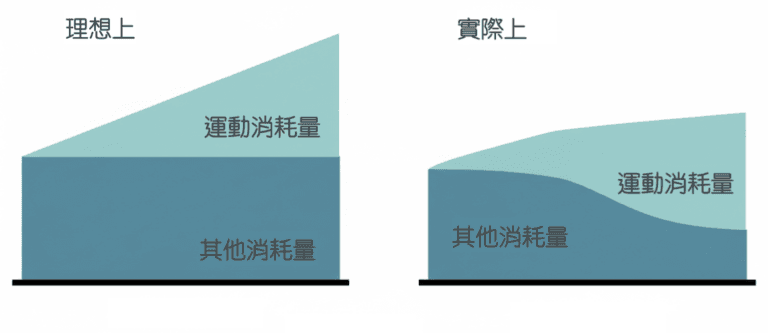 高效減脂必然有停滯期。為什麼？